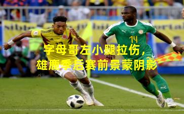 字母哥左小腿拉伤,雄鹿季后赛前景蒙阴影